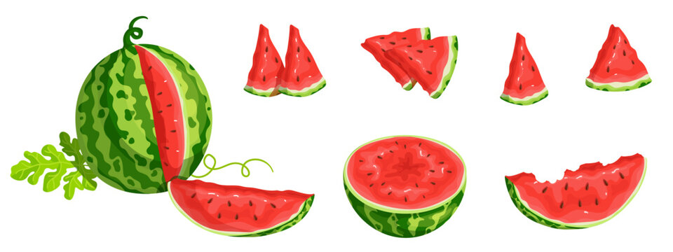 Set of ripe juicy watermelon berries and pieces of summer fruits.Cartoon vector graphics.