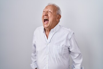Obraz premium Senior man with grey hair standing over isolated background angry and mad screaming frustrated and furious, shouting with anger. rage and aggressive concept.