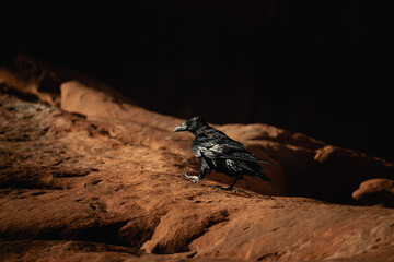 Arches National Park