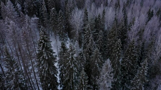 beautiful view of the ruskela mountain park. republic of karelia