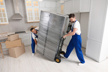 Male movers carrying refrigerator in new house