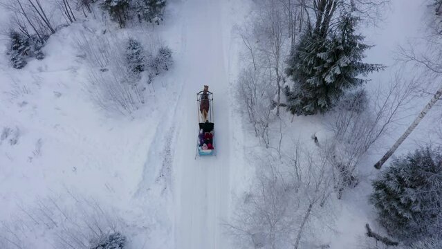 sleigh ride through the forest in winter