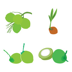 coconut fruit icon vector