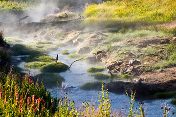 hot spring river