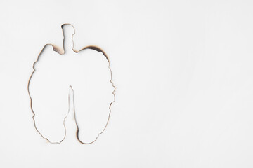No smoking concept. Lungs with burnt borders made of paper on white background, top view and space for text