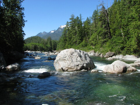 Kennedy River with rocks, trees, and mountains on Vancouver Island, BC, Canada