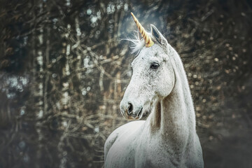 Fototapeta na wymiar Portrait of a white arabian horse dressed as unicorn outdoors