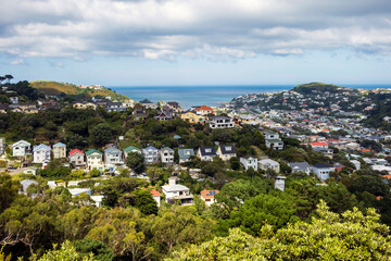 View from the top of Island Bay in Wellington, New Zealand