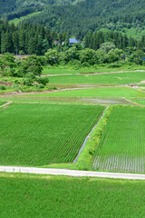 秋田 山間の田園
