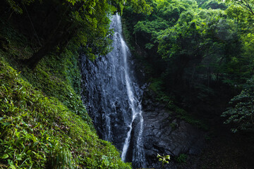 Fototapeta na wymiar 兵庫県 猿尾滝の新緑と夏景色