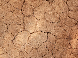 The ground has cracks in the top view for the background