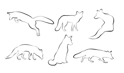 black contours of foxes on a white background