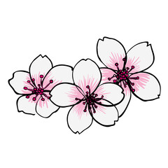 isolated hand drawing pink and white cherry blossom flowers for  pattern, background, wallpaper, texture, banner, label etc. illustration design