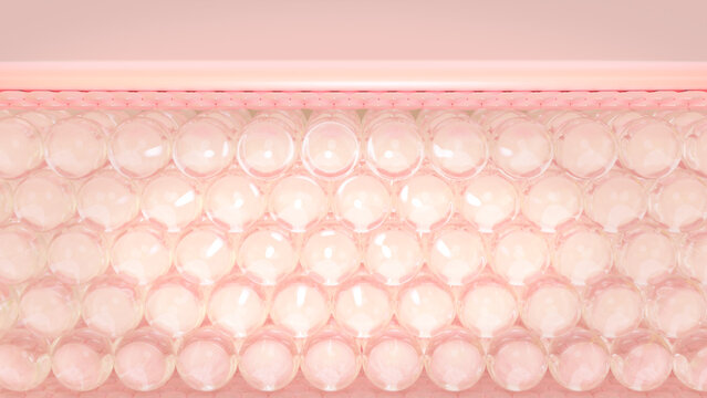 Layers of skin cells. skin tone. Skin background layers under a microscope. 3D Rendering