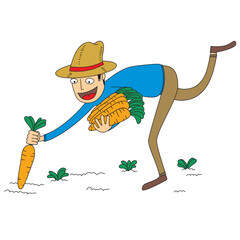 farmer harvest some carrots