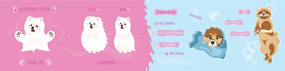 GROOMING CAROUSEL. Set with dogs breed pomeranian for grooming salon. White and brown spitz. Pet salon.