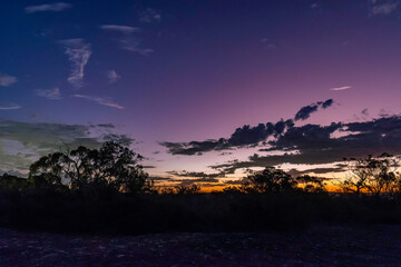Twilight sky with clouds and trees out in the bush