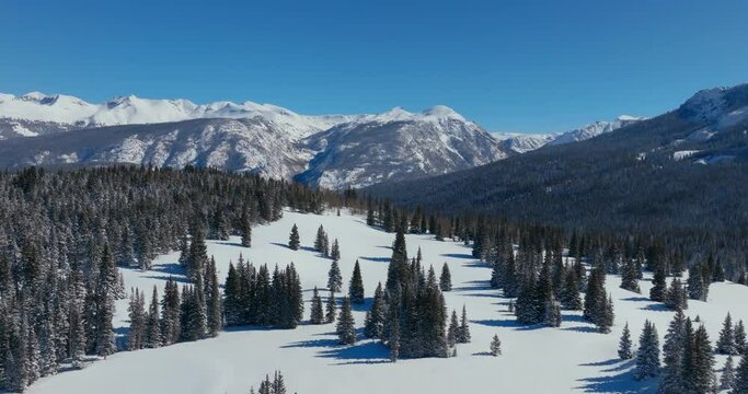 Aerial view above snow covered tree forest and beautiful mountain landscape on clear winter day