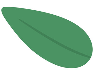 Fototapeta premium Green Single Leaf