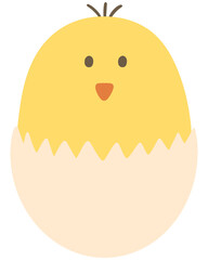 Baby Chick in Eggshell