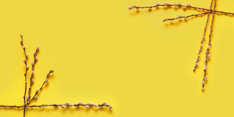 Frame made of pussy willow branches on yellow background