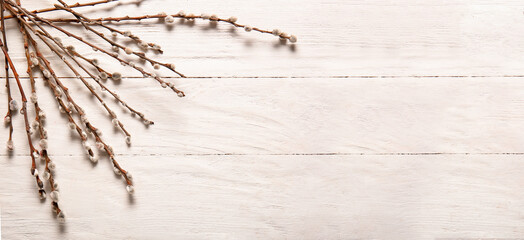 Pussy willow branches on white wooden background with space for text