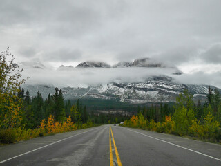 Icefields Parkway near Parker Ridge, Alberta, Canada