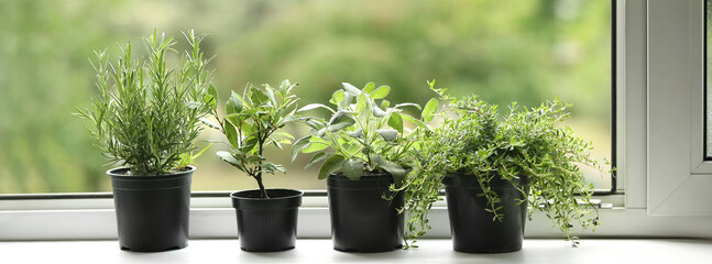 Pots with fresh aromatic herbs on windowsill at home - obrazy, fototapety, plakaty