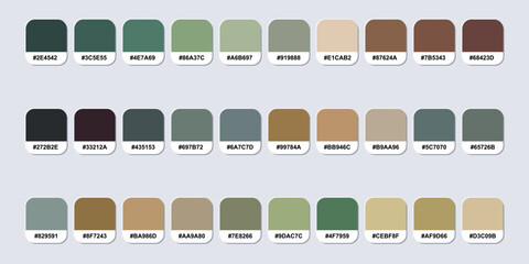 Set Of Earth Tones Color Palette Catalog Sample With RGB HEX Codes Isolated In Seperate Groups For Ui Design, Fashion, Interior And Website Designing. Vector Graphics.