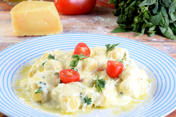 rondelli cannelloni delicious gnocchi pasta in white sauce with parmesan cheese, tomatoes, basil, herbs, healthy food of Italian and French cuisine