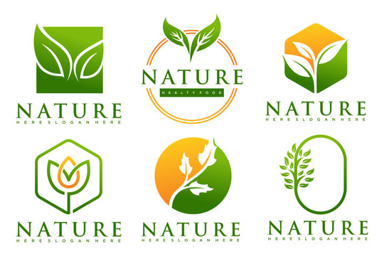 natural product icon set logo design