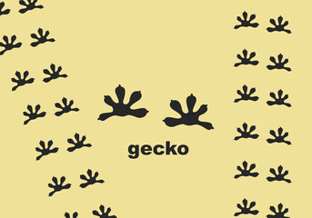 black gecko footprints