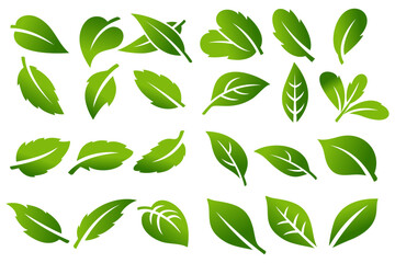 Tree leaf vector icon set logo design, eco-friendly concept