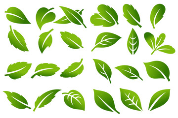 Naklejka premium Tree leaf vector icon set logo design, eco-friendly concept
