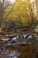 晩秋の達沢不動滝