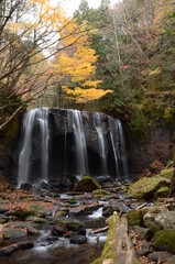 晩秋の達沢不動滝
