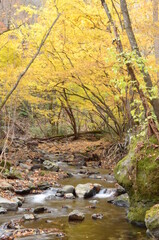 晩秋の達沢不動滝
