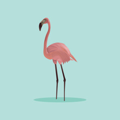 pink flamingo bird, flamingo vector art