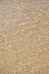 bege ocean beach tropical background