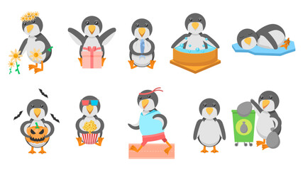 Big Set Abstract Collection Flat Cartoon Different Animal Penguins Vector Design Style Elements Fauna Wildlife