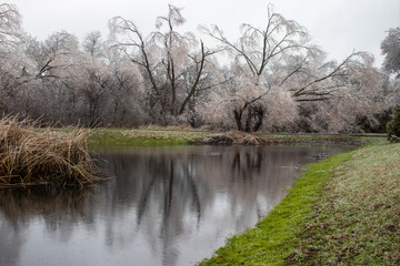 Frozen forest reflections on the pond