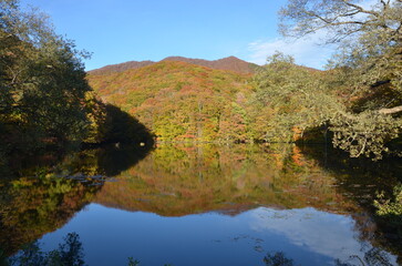 紅葉期の曲沢沼のリフレクション