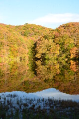 紅葉期の曲沢沼のリフレクション