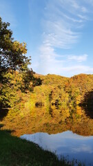 紅葉期の曲沢沼のリフレクション