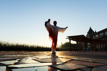 An old man performing Chinese martial arts