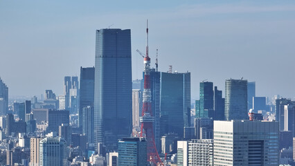 Fototapeta na wymiar 都市の空撮