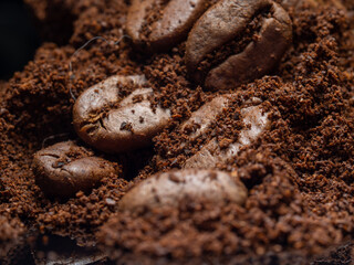Freshly roasted coffee beans. Macro photos
