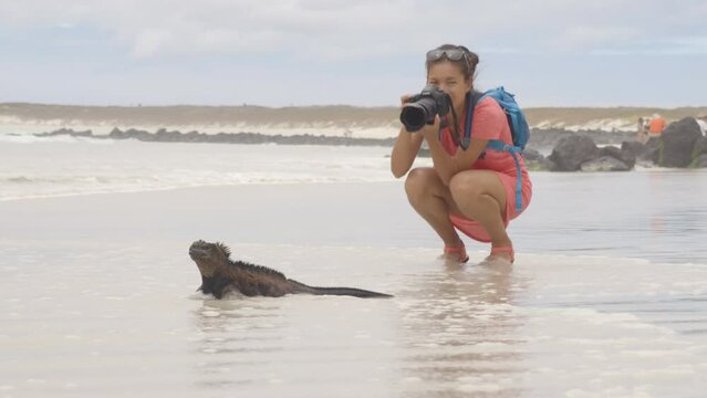 Tourist on Galapagos Islands taking photo of Marine Iguana