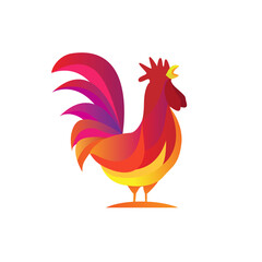 Rooster with magnificent colours