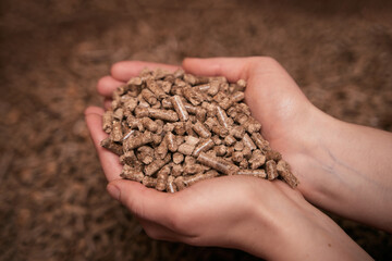 Wooden pellet heating stove. Solid-fuel boiler with pellet-fuel in a boiler room